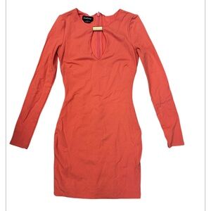 Bebe bodycon dress